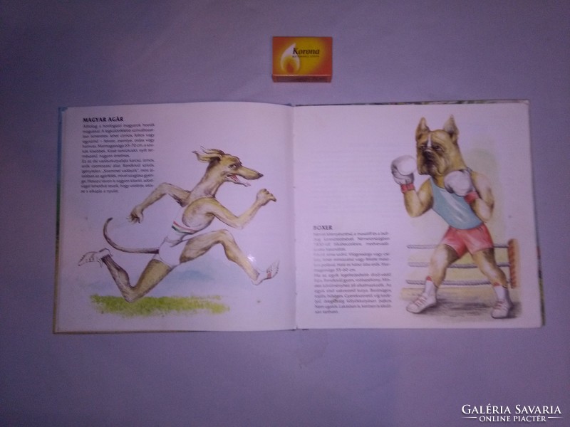 Kutyák - képeskönyv Jálics Gyula rajzaival - 1989
