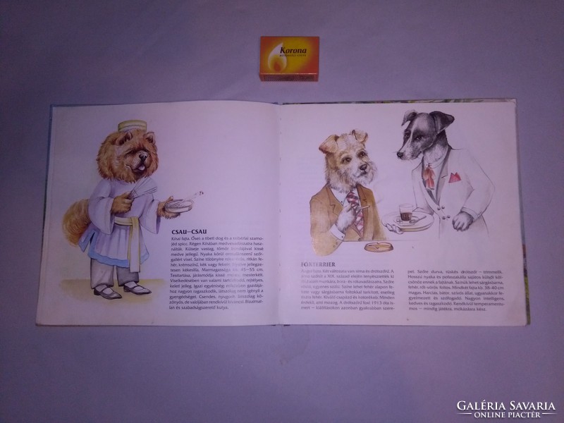 Kutyák - képeskönyv Jálics Gyula rajzaival - 1989