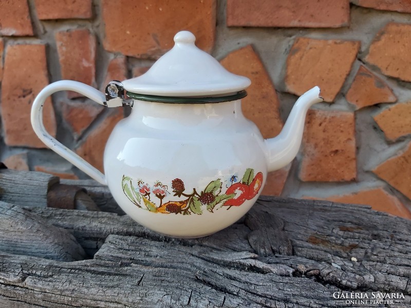 Enamel enameled fruity coffee pot with nostalgia pieces for peasant decoration