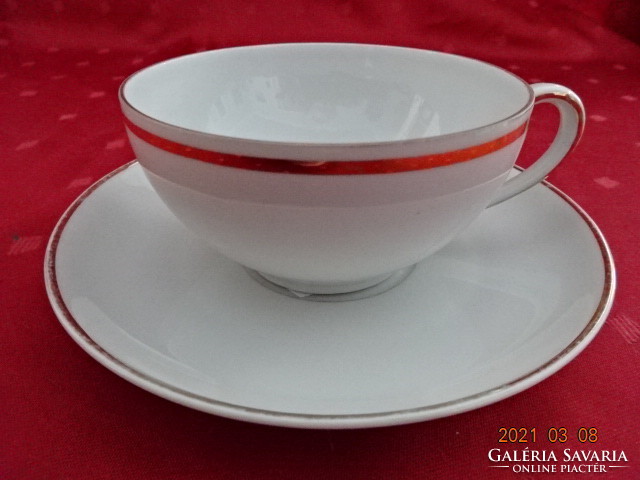 Seltmann bavaria vohenstrauss porcelain teacup + placemat. He has!