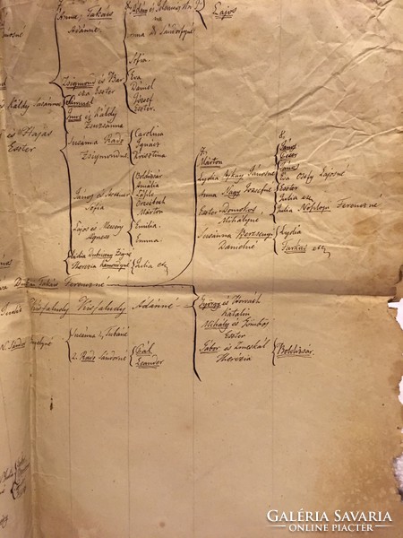 /1609/Antique family tree map/nikos. Ferencz/ family tree! (Ferenc Nyikos) the family is a multi-branched structure