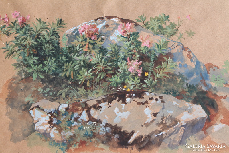 Antik kép - virágok a sziklák között