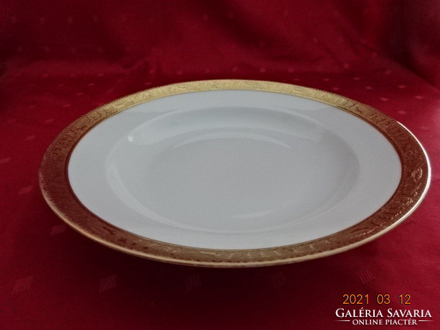 Gloria Czech porcelain, antique deep plate, richly gilded. He has!