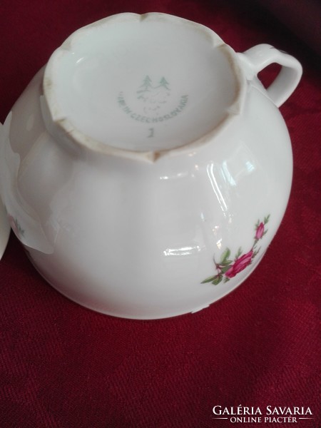 Old Czechoslovakian tea cup