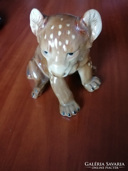 Royal dux lion cub