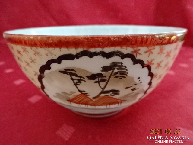 Japán porcelán, kézzel festett, tojáshéj vékony teáscsésze. Vanneki!