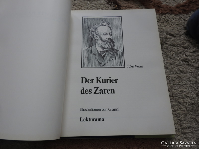 Weltberühmte jugendbücher für jugendliche und erwachsene - picture classic novel in German