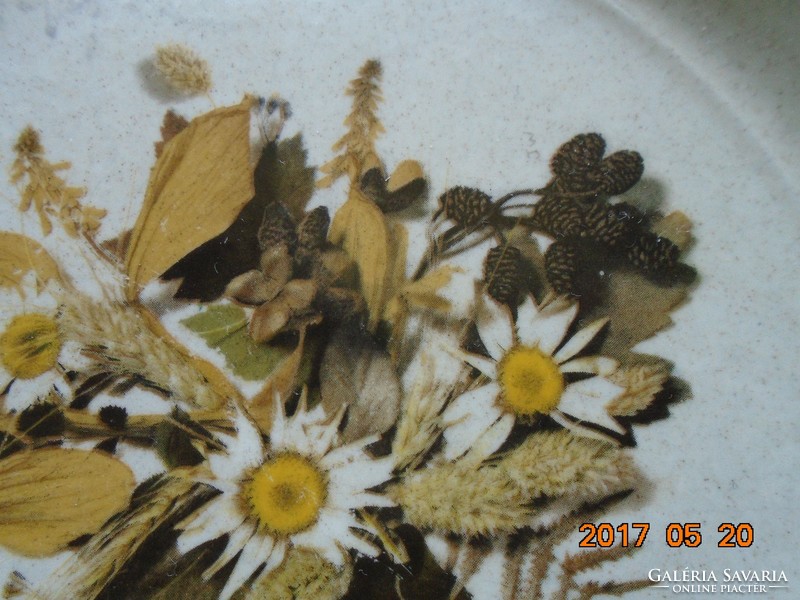 DOVERSTONE Staffordshire vintage Angol porcelán tál mezei virágcsokorral