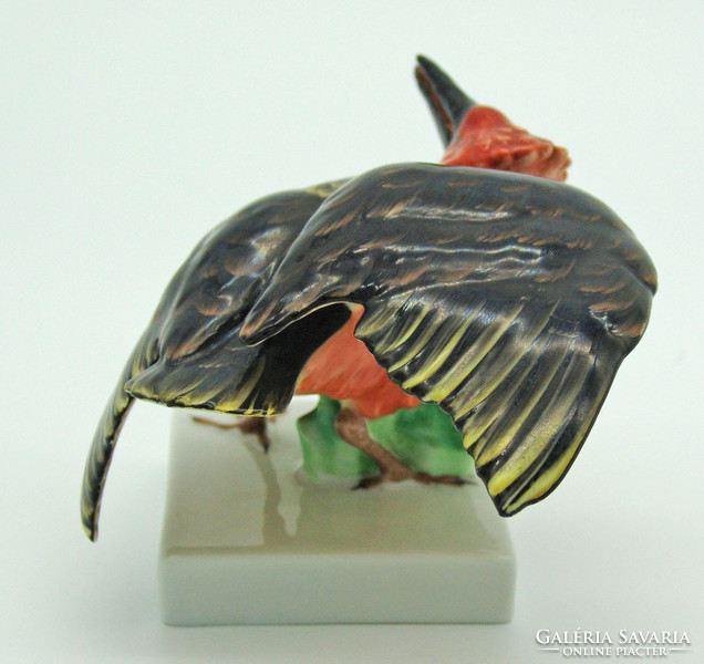 B422 Herendi ritka hosszú csörű madár - gyönyörű hibátlan gyűjteménybe illő darab