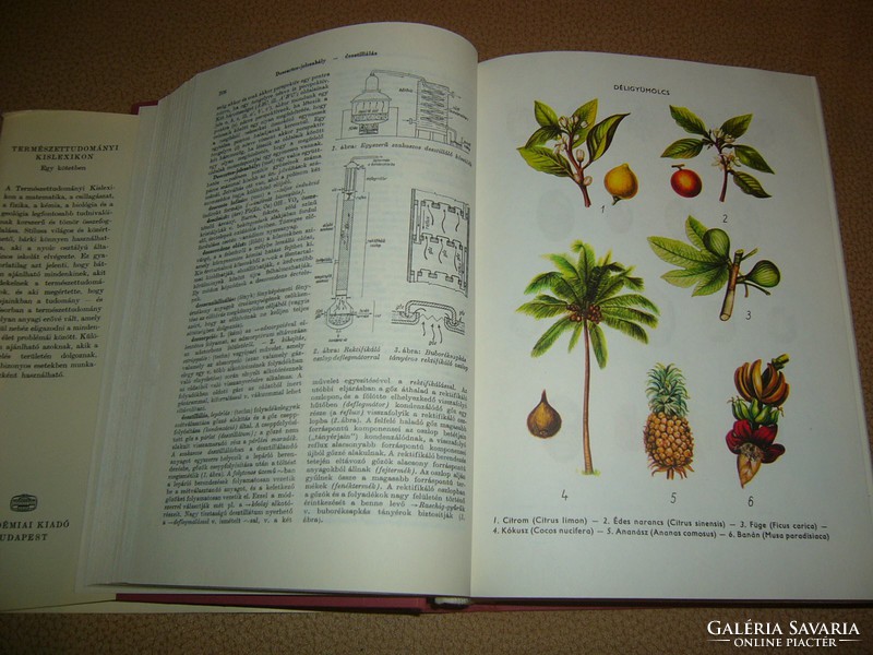 Small encyclopedia of natural sciences