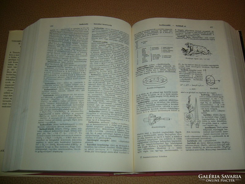 Small encyclopedia of natural sciences