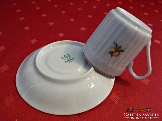 Hollóház porcelain coffee cup + placemat, brown border. He has!