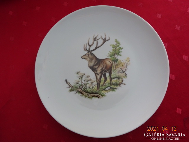 Winterling bavaria quality flat plate with six wild animal motifs. He has!