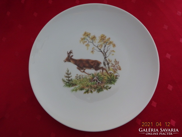 Winterling bavaria quality flat plate with six wild animal motifs. He has!