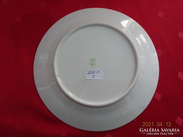 Hollóház porcelain wall plate with iron castle inscription and view, diameter 18 cm. He has!