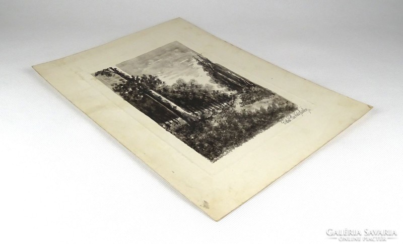 1C888 Ditrói Puskás Ede : Erdőbelső 1933