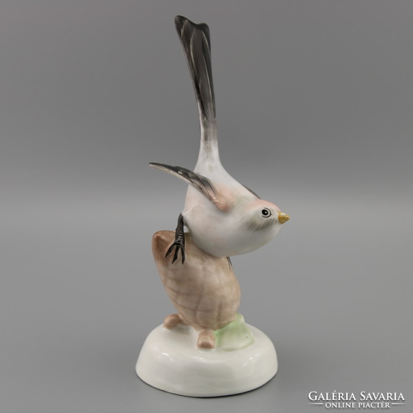Madár porcelán figura, Vintage Aquincum figura