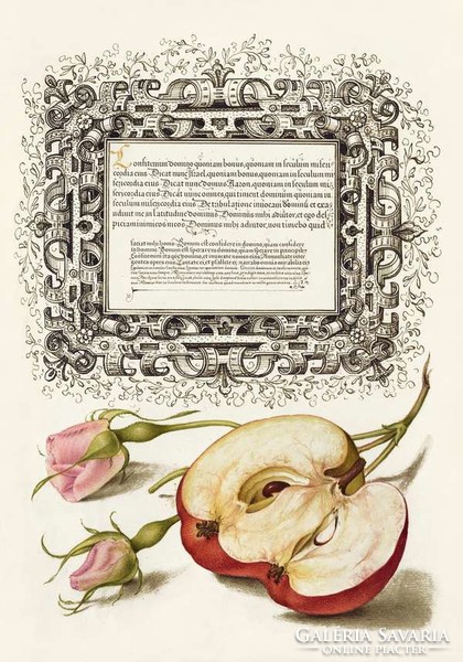 Mira Calligraphiae Monumenta kézirat díszes szöveg arany kalligráfia reprint rózsa bimbó alma magház