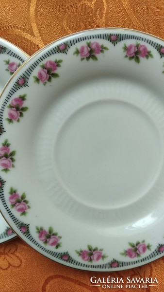Wild rose plate with tea cup placemat in parban