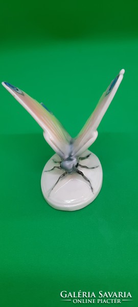 Ens -Volkstedt porcelán pillangó figura