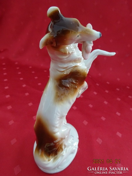 German quality porcelain, antique dog figurine with slippers in his mouth. He has!