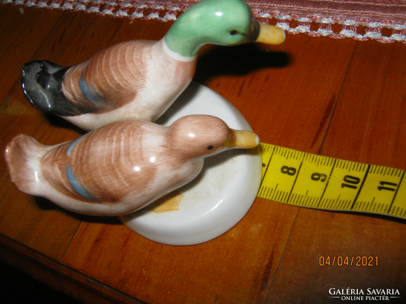 Pair of aquincum ducks