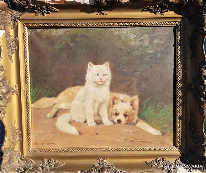 Istvánffy gabriella / dog-kitten friendship