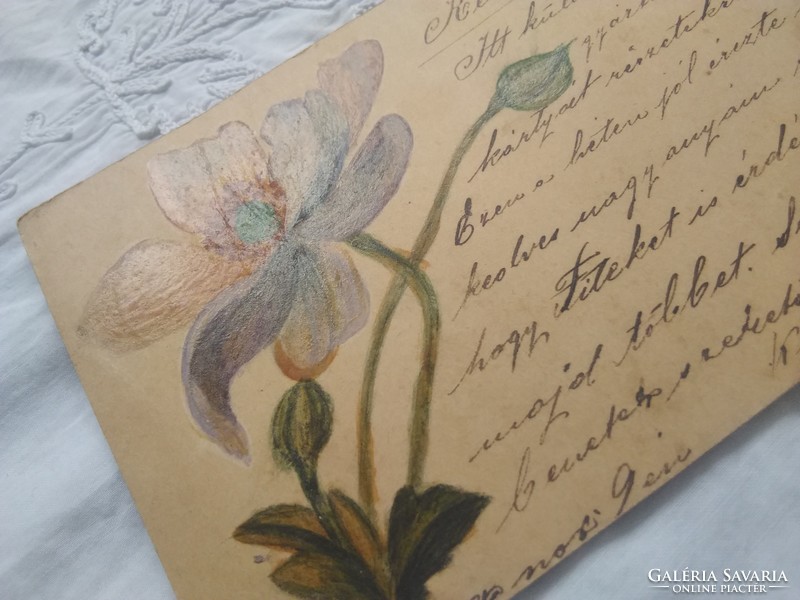 Antik/szecessziós hosszúcímzéses kézzel rajzolt virágos képeslap, hátán koronás magyar címer 1900