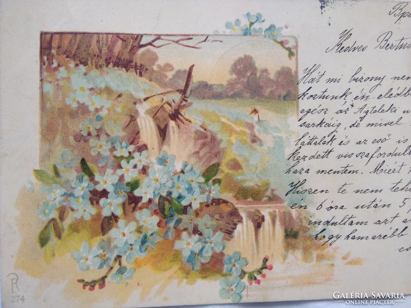 Antik/szecessziós litho/litográfiás, képeslap/üdvözlőlap tájkép, nefelejcs, vízesés 1901