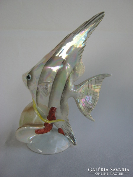 Drasche quarries porcelain fish snail sailfish