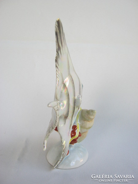 Drasche quarries porcelain fish snail sailfish