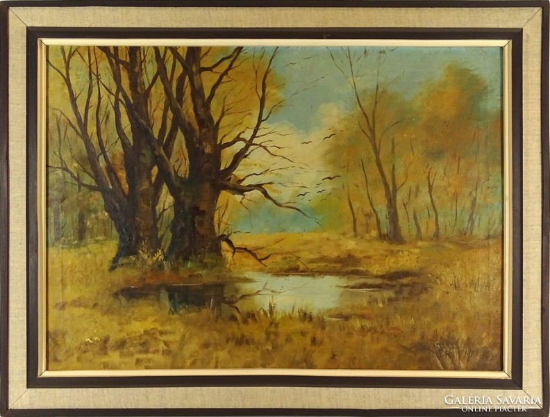 1D974 Gubai : Ártéri erdő ősszel 1934