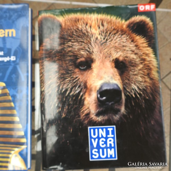 Universum ORF  Jahrbuch 1998 / Nance Fyson Dia Schatzkammern der Welt