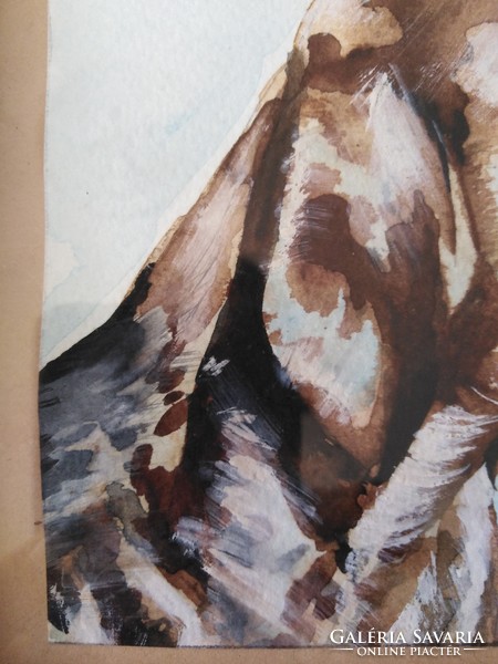 Drótszőrű vadász vizsla - akvarell kép