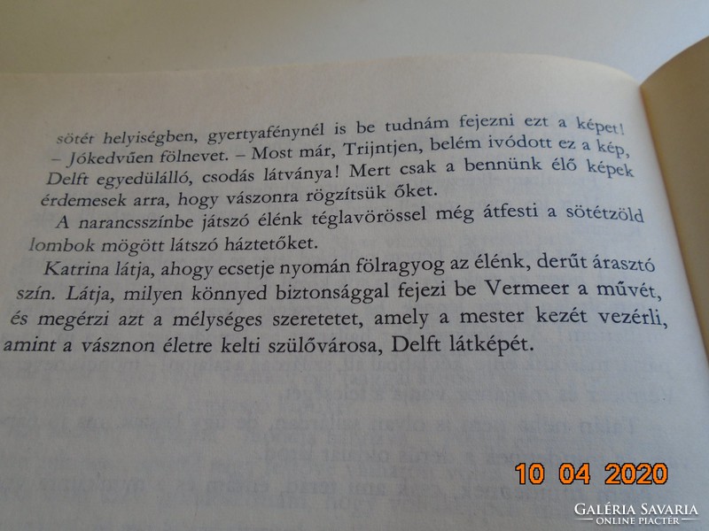 Ingrid Möller: VERMEER VAN DELFT életregénye, Corvina Kiadó,1984