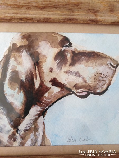 Wirehaired Pointer - watercolor picture