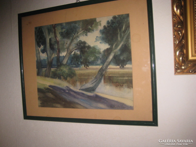BLASKÓ János  : Erdő  című  zsűrizett  festménye  , akvarell , 60 x 48 cm  +  keret