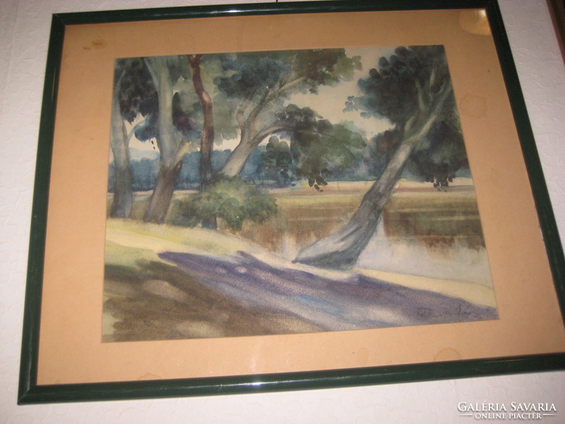 János Blaskó's juried painting entitled forest, watercolor, 60 x 48 cm + frame