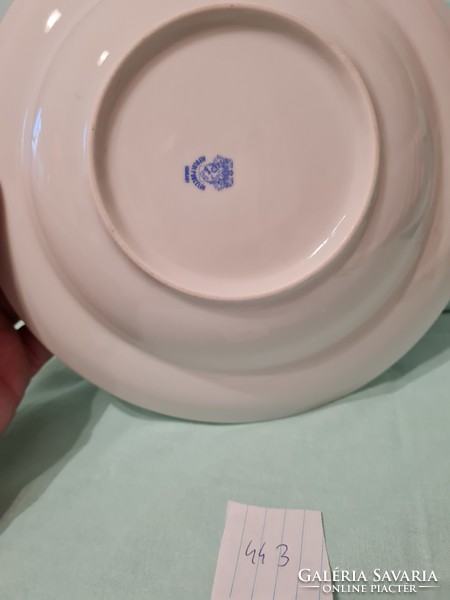 Tóparti csárda Tata Alföldi tányér 22 cm