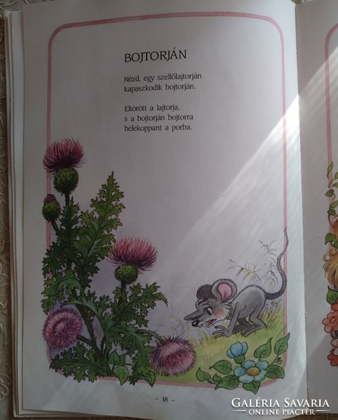 Rich Erzsi,: the song of forget-me-nots, with drawings by Zsuzsa Füzesi, recommend!