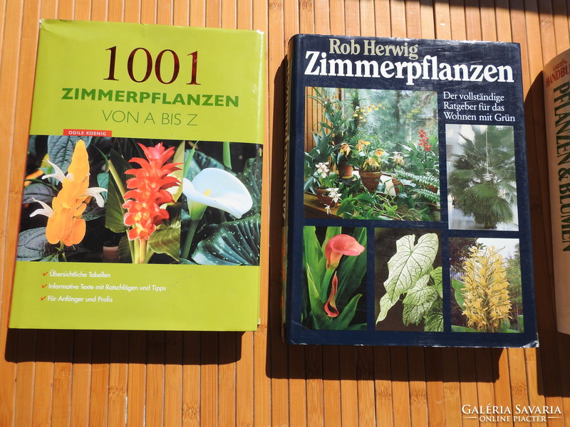 Zimmerpflanzen _ 1001 zimmerpflanzen von a bis z _ gartenbuch pflanzen & blumen