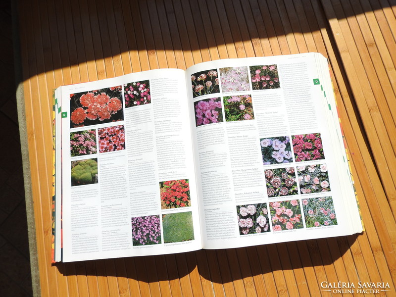 Botanica _ das abc der pflanzen 10,000 Arten in text und bild