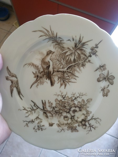 Régi porcelán tányér