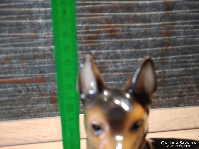 Csodaszép festésű német juhász kutya porcelán