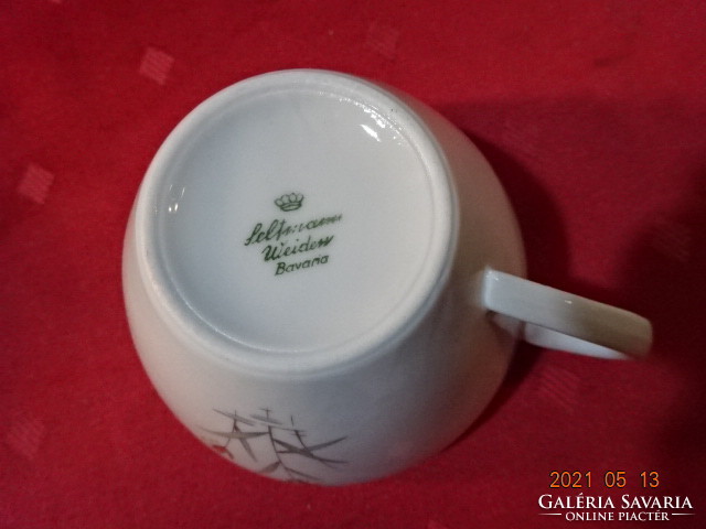 Seltmann weiden bavaria german porcelain teacup. He has!
