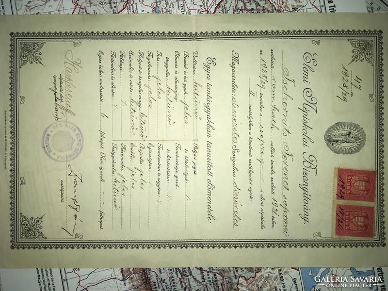 Elementary school certificate 1928 / 29 trickle