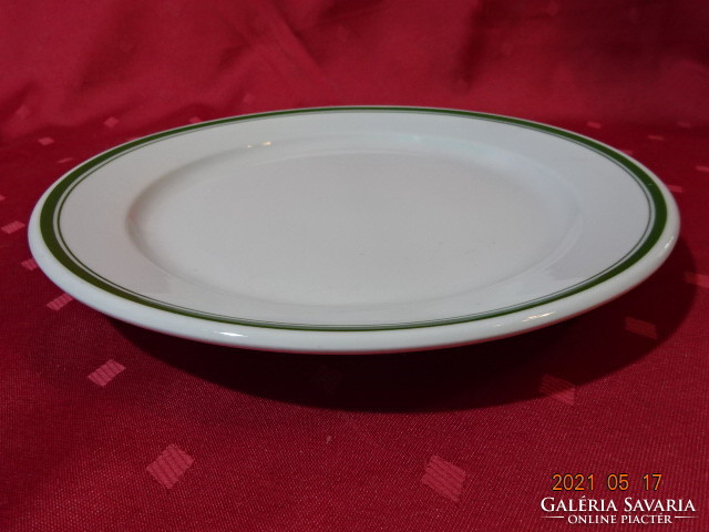 Lowland porcelain flat plate with green stripe. He has!