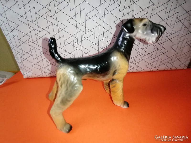 Hollóháza large porcelain fox terrier dog