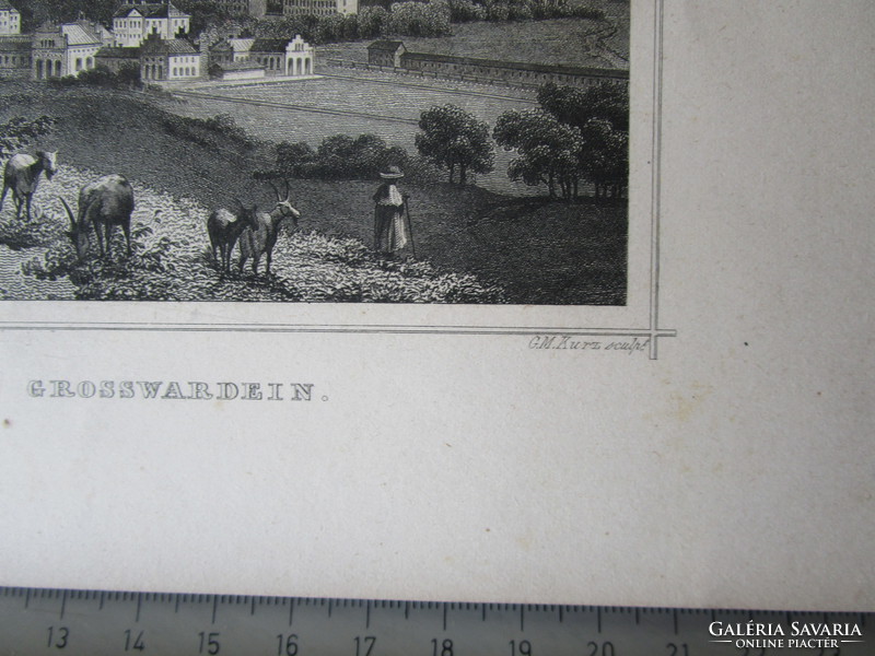 Oradea skyline marked rohbock engraving image approx. 1850