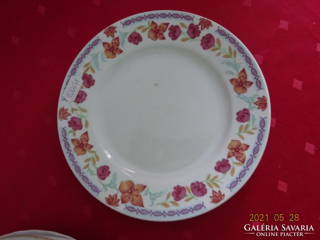 Tk thun Czechoslovak porcelain, first class small plate. He has!